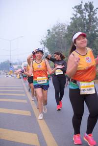BIB: 152, 15465
                            <button type="button" onclick="openModal(9348696)" class="btn btn-primary btn-sm float-right btn-popup" data-toggle="modal" data-target=".modal-high-quality">
                        <i class="fas fa-shopping-cart"></i> Add to Cart
                    </button>
                                            <button type="button" onclick="isThisMe(9348696, true)" class="btn btn-success btn-sm float-right btn-popup btn-isme hidden" data-toggle="tooltip" data-placement="bottom" title="นี่คือรูปของคุณใช่ไหม คลิกที่นี่เพื่อเอาเข้าอัลบั้ม">
                        <i class="fas fa-plus"></i> Add to album
                    </button>
                    <button type="button" onclick="isThisMe(9348696, false)" class="btn btn-warning btn-sm float-right btn-popup btn-isnotme hidden">
                        <i class="fas fa-ban"></i> Remove from album
                    </button>