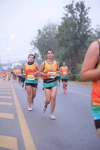 BIB: 9453
                            <button type="button" onclick="openModal(9341373)" class="btn btn-primary btn-sm float-right btn-popup" data-toggle="modal" data-target=".modal-high-quality">
                        <i class="fas fa-shopping-cart"></i> Add to Cart
                    </button>
                                            <button type="button" onclick="isThisMe(9341373, true)" class="btn btn-success btn-sm float-right btn-popup btn-isme hidden" data-toggle="tooltip" data-placement="bottom" title="นี่คือรูปของคุณใช่ไหม คลิกที่นี่เพื่อเอาเข้าอัลบั้ม">
                        <i class="fas fa-plus"></i> Add to album
                    </button>
                    <button type="button" onclick="isThisMe(9341373, false)" class="btn btn-warning btn-sm float-right btn-popup btn-isnotme hidden">
                        <i class="fas fa-ban"></i> Remove from album
                    </button>