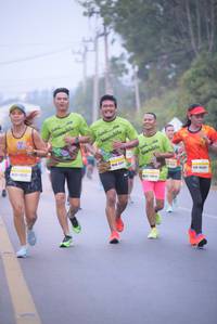 BIB: 1005, 1636
                            <button type="button" onclick="openModal(9339313)" class="btn btn-primary btn-sm float-right btn-popup" data-toggle="modal" data-target=".modal-high-quality">
                        <i class="fas fa-shopping-cart"></i> Add to Cart
                    </button>
                                            <button type="button" onclick="isThisMe(9339313, true)" class="btn btn-success btn-sm float-right btn-popup btn-isme hidden" data-toggle="tooltip" data-placement="bottom" title="นี่คือรูปของคุณใช่ไหม คลิกที่นี่เพื่อเอาเข้าอัลบั้ม">
                        <i class="fas fa-plus"></i> Add to album
                    </button>
                    <button type="button" onclick="isThisMe(9339313, false)" class="btn btn-warning btn-sm float-right btn-popup btn-isnotme hidden">
                        <i class="fas fa-ban"></i> Remove from album
                    </button>