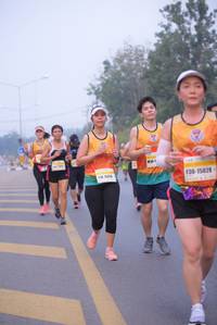 BIB: 1508, 15028
                            <button type="button" onclick="openModal(9350506)" class="btn btn-primary btn-sm float-right btn-popup" data-toggle="modal" data-target=".modal-high-quality">
                        <i class="fas fa-shopping-cart"></i> Add to Cart
                    </button>
                                            <button type="button" onclick="isThisMe(9350506, true)" class="btn btn-success btn-sm float-right btn-popup btn-isme hidden" data-toggle="tooltip" data-placement="bottom" title="นี่คือรูปของคุณใช่ไหม คลิกที่นี่เพื่อเอาเข้าอัลบั้ม">
                        <i class="fas fa-plus"></i> Add to album
                    </button>
                    <button type="button" onclick="isThisMe(9350506, false)" class="btn btn-warning btn-sm float-right btn-popup btn-isnotme hidden">
                        <i class="fas fa-ban"></i> Remove from album
                    </button>