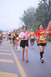 BIB: 1647, 16572
                            <button type="button" onclick="openModal(9349574)" class="btn btn-primary btn-sm float-right btn-popup" data-toggle="modal" data-target=".modal-high-quality">
                        <i class="fas fa-shopping-cart"></i> Add to Cart
                    </button>
                                            <button type="button" onclick="isThisMe(9349574, true)" class="btn btn-success btn-sm float-right btn-popup btn-isme hidden" data-toggle="tooltip" data-placement="bottom" title="นี่คือรูปของคุณใช่ไหม คลิกที่นี่เพื่อเอาเข้าอัลบั้ม">
                        <i class="fas fa-plus"></i> Add to album
                    </button>
                    <button type="button" onclick="isThisMe(9349574, false)" class="btn btn-warning btn-sm float-right btn-popup btn-isnotme hidden">
                        <i class="fas fa-ban"></i> Remove from album
                    </button>