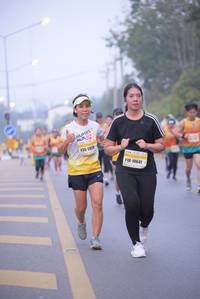 BIB: 10641
                            <button type="button" onclick="openModal(9342112)" class="btn btn-primary btn-sm float-right btn-popup" data-toggle="modal" data-target=".modal-high-quality">
                        <i class="fas fa-shopping-cart"></i> Add to Cart
                    </button>
                                            <button type="button" onclick="isThisMe(9342112, true)" class="btn btn-success btn-sm float-right btn-popup btn-isme hidden" data-toggle="tooltip" data-placement="bottom" title="นี่คือรูปของคุณใช่ไหม คลิกที่นี่เพื่อเอาเข้าอัลบั้ม">
                        <i class="fas fa-plus"></i> Add to album
                    </button>
                    <button type="button" onclick="isThisMe(9342112, false)" class="btn btn-warning btn-sm float-right btn-popup btn-isnotme hidden">
                        <i class="fas fa-ban"></i> Remove from album
                    </button>