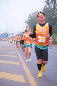 BIB: 16293
                            <button type="button" onclick="openModal(9334080)" class="btn btn-primary btn-sm float-right btn-popup" data-toggle="modal" data-target=".modal-high-quality">
                        <i class="fas fa-shopping-cart"></i> Add to Cart
                    </button>
                                            <button type="button" onclick="isThisMe(9334080, true)" class="btn btn-success btn-sm float-right btn-popup btn-isme hidden" data-toggle="tooltip" data-placement="bottom" title="นี่คือรูปของคุณใช่ไหม คลิกที่นี่เพื่อเอาเข้าอัลบั้ม">
                        <i class="fas fa-plus"></i> Add to album
                    </button>
                    <button type="button" onclick="isThisMe(9334080, false)" class="btn btn-warning btn-sm float-right btn-popup btn-isnotme hidden">
                        <i class="fas fa-ban"></i> Remove from album
                    </button>
