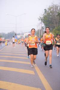BIB: 15451, 15424
                            <button type="button" onclick="openModal(9325308)" class="btn btn-primary btn-sm float-right btn-popup" data-toggle="modal" data-target=".modal-high-quality">
                        <i class="fas fa-shopping-cart"></i> Add to Cart
                    </button>
                                            <button type="button" onclick="isThisMe(9325308, true)" class="btn btn-success btn-sm float-right btn-popup btn-isme hidden" data-toggle="tooltip" data-placement="bottom" title="นี่คือรูปของคุณใช่ไหม คลิกที่นี่เพื่อเอาเข้าอัลบั้ม">
                        <i class="fas fa-plus"></i> Add to album
                    </button>
                    <button type="button" onclick="isThisMe(9325308, false)" class="btn btn-warning btn-sm float-right btn-popup btn-isnotme hidden">
                        <i class="fas fa-ban"></i> Remove from album
                    </button>