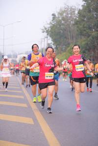 BIB: 16243
                            <button type="button" onclick="openModal(9324267)" class="btn btn-primary btn-sm float-right btn-popup" data-toggle="modal" data-target=".modal-high-quality">
                        <i class="fas fa-shopping-cart"></i> Add to Cart
                    </button>
                                            <button type="button" onclick="isThisMe(9324267, true)" class="btn btn-success btn-sm float-right btn-popup btn-isme hidden" data-toggle="tooltip" data-placement="bottom" title="นี่คือรูปของคุณใช่ไหม คลิกที่นี่เพื่อเอาเข้าอัลบั้ม">
                        <i class="fas fa-plus"></i> Add to album
                    </button>
                    <button type="button" onclick="isThisMe(9324267, false)" class="btn btn-warning btn-sm float-right btn-popup btn-isnotme hidden">
                        <i class="fas fa-ban"></i> Remove from album
                    </button>