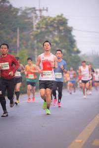 BIB: 21929, 21378
                            <button type="button" onclick="openModal(9327173)" class="btn btn-primary btn-sm float-right btn-popup" data-toggle="modal" data-target=".modal-high-quality">
                        <i class="fas fa-shopping-cart"></i> Add to Cart
                    </button>
                                            <button type="button" onclick="isThisMe(9327173, true)" class="btn btn-success btn-sm float-right btn-popup btn-isme hidden" data-toggle="tooltip" data-placement="bottom" title="นี่คือรูปของคุณใช่ไหม คลิกที่นี่เพื่อเอาเข้าอัลบั้ม">
                        <i class="fas fa-plus"></i> Add to album
                    </button>
                    <button type="button" onclick="isThisMe(9327173, false)" class="btn btn-warning btn-sm float-right btn-popup btn-isnotme hidden">
                        <i class="fas fa-ban"></i> Remove from album
                    </button>