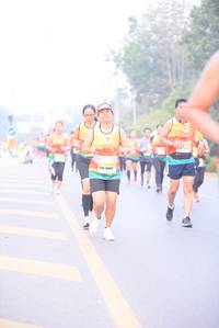 BIB: 
                            <button type="button" onclick="openModal(9320648)" class="btn btn-primary btn-sm float-right btn-popup" data-toggle="modal" data-target=".modal-high-quality">
                        <i class="fas fa-shopping-cart"></i> Add to Cart
                    </button>
                                            <button type="button" onclick="isThisMe(9320648, true)" class="btn btn-success btn-sm float-right btn-popup btn-isme hidden" data-toggle="tooltip" data-placement="bottom" title="นี่คือรูปของคุณใช่ไหม คลิกที่นี่เพื่อเอาเข้าอัลบั้ม">
                        <i class="fas fa-plus"></i> Add to album
                    </button>
                    <button type="button" onclick="isThisMe(9320648, false)" class="btn btn-warning btn-sm float-right btn-popup btn-isnotme hidden">
                        <i class="fas fa-ban"></i> Remove from album
                    </button>
