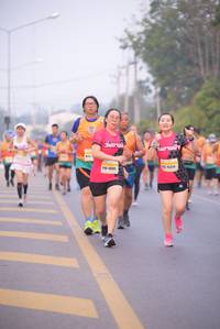 BIB: 
                            <button type="button" onclick="openModal(9324265)" class="btn btn-primary btn-sm float-right btn-popup" data-toggle="modal" data-target=".modal-high-quality">
                        <i class="fas fa-shopping-cart"></i> Add to Cart
                    </button>
                                            <button type="button" onclick="isThisMe(9324265, true)" class="btn btn-success btn-sm float-right btn-popup btn-isme hidden" data-toggle="tooltip" data-placement="bottom" title="นี่คือรูปของคุณใช่ไหม คลิกที่นี่เพื่อเอาเข้าอัลบั้ม">
                        <i class="fas fa-plus"></i> Add to album
                    </button>
                    <button type="button" onclick="isThisMe(9324265, false)" class="btn btn-warning btn-sm float-right btn-popup btn-isnotme hidden">
                        <i class="fas fa-ban"></i> Remove from album
                    </button>