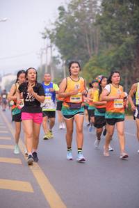 BIB: 1085, 1550
                            <button type="button" onclick="openModal(9325133)" class="btn btn-primary btn-sm float-right btn-popup" data-toggle="modal" data-target=".modal-high-quality">
                        <i class="fas fa-shopping-cart"></i> Add to Cart
                    </button>
                                            <button type="button" onclick="isThisMe(9325133, true)" class="btn btn-success btn-sm float-right btn-popup btn-isme hidden" data-toggle="tooltip" data-placement="bottom" title="นี่คือรูปของคุณใช่ไหม คลิกที่นี่เพื่อเอาเข้าอัลบั้ม">
                        <i class="fas fa-plus"></i> Add to album
                    </button>
                    <button type="button" onclick="isThisMe(9325133, false)" class="btn btn-warning btn-sm float-right btn-popup btn-isnotme hidden">
                        <i class="fas fa-ban"></i> Remove from album
                    </button>