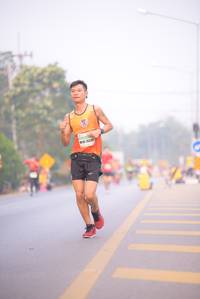 BIB: 26305
                            <button type="button" onclick="openModal(9316162)" class="btn btn-primary btn-sm float-right btn-popup" data-toggle="modal" data-target=".modal-high-quality">
                        <i class="fas fa-shopping-cart"></i> Add to Cart
                    </button>
                                            <button type="button" onclick="isThisMe(9316162, true)" class="btn btn-success btn-sm float-right btn-popup btn-isme hidden" data-toggle="tooltip" data-placement="bottom" title="นี่คือรูปของคุณใช่ไหม คลิกที่นี่เพื่อเอาเข้าอัลบั้ม">
                        <i class="fas fa-plus"></i> Add to album
                    </button>
                    <button type="button" onclick="isThisMe(9316162, false)" class="btn btn-warning btn-sm float-right btn-popup btn-isnotme hidden">
                        <i class="fas fa-ban"></i> Remove from album
                    </button>