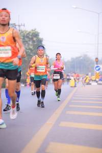 BIB: 
                            <button type="button" onclick="openModal(9317096)" class="btn btn-primary btn-sm float-right btn-popup" data-toggle="modal" data-target=".modal-high-quality">
                        <i class="fas fa-shopping-cart"></i> Add to Cart
                    </button>
                                            <button type="button" onclick="isThisMe(9317096, true)" class="btn btn-success btn-sm float-right btn-popup btn-isme hidden" data-toggle="tooltip" data-placement="bottom" title="นี่คือรูปของคุณใช่ไหม คลิกที่นี่เพื่อเอาเข้าอัลบั้ม">
                        <i class="fas fa-plus"></i> Add to album
                    </button>
                    <button type="button" onclick="isThisMe(9317096, false)" class="btn btn-warning btn-sm float-right btn-popup btn-isnotme hidden">
                        <i class="fas fa-ban"></i> Remove from album
                    </button>