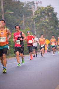 BIB: 
                            <button type="button" onclick="openModal(9317735)" class="btn btn-primary btn-sm float-right btn-popup" data-toggle="modal" data-target=".modal-high-quality">
                        <i class="fas fa-shopping-cart"></i> Add to Cart
                    </button>
                                            <button type="button" onclick="isThisMe(9317735, true)" class="btn btn-success btn-sm float-right btn-popup btn-isme hidden" data-toggle="tooltip" data-placement="bottom" title="นี่คือรูปของคุณใช่ไหม คลิกที่นี่เพื่อเอาเข้าอัลบั้ม">
                        <i class="fas fa-plus"></i> Add to album
                    </button>
                    <button type="button" onclick="isThisMe(9317735, false)" class="btn btn-warning btn-sm float-right btn-popup btn-isnotme hidden">
                        <i class="fas fa-ban"></i> Remove from album
                    </button>