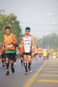 BIB: 42657, 45269
                            <button type="button" onclick="openModal(9006521)" class="btn btn-primary btn-sm float-right btn-popup" data-toggle="modal" data-target=".modal-high-quality">
                        <i class="fas fa-shopping-cart"></i> Add to Cart
                    </button>
                                            <button type="button" onclick="isThisMe(9006521, true)" class="btn btn-success btn-sm float-right btn-popup btn-isme hidden" data-toggle="tooltip" data-placement="bottom" title="นี่คือรูปของคุณใช่ไหม คลิกที่นี่เพื่อเอาเข้าอัลบั้ม">
                        <i class="fas fa-plus"></i> Add to album
                    </button>
                    <button type="button" onclick="isThisMe(9006521, false)" class="btn btn-warning btn-sm float-right btn-popup btn-isnotme hidden">
                        <i class="fas fa-ban"></i> Remove from album
                    </button>