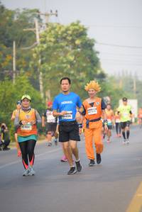 BIB: 4236, 26267
                            <button type="button" onclick="openModal(8959190)" class="btn btn-primary btn-sm float-right btn-popup" data-toggle="modal" data-target=".modal-high-quality">
                        <i class="fas fa-shopping-cart"></i> Add to Cart
                    </button>
                                            <button type="button" onclick="isThisMe(8959190, true)" class="btn btn-success btn-sm float-right btn-popup btn-isme hidden" data-toggle="tooltip" data-placement="bottom" title="นี่คือรูปของคุณใช่ไหม คลิกที่นี่เพื่อเอาเข้าอัลบั้ม">
                        <i class="fas fa-plus"></i> Add to album
                    </button>
                    <button type="button" onclick="isThisMe(8959190, false)" class="btn btn-warning btn-sm float-right btn-popup btn-isnotme hidden">
                        <i class="fas fa-ban"></i> Remove from album
                    </button>
