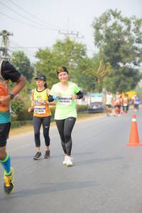 BIB: 45565, 40288
                            <button type="button" onclick="openModal(8941629)" class="btn btn-primary btn-sm float-right btn-popup" data-toggle="modal" data-target=".modal-high-quality">
                        <i class="fas fa-shopping-cart"></i> Add to Cart
                    </button>
                                            <button type="button" onclick="isThisMe(8941629, true)" class="btn btn-success btn-sm float-right btn-popup btn-isme hidden" data-toggle="tooltip" data-placement="bottom" title="นี่คือรูปของคุณใช่ไหม คลิกที่นี่เพื่อเอาเข้าอัลบั้ม">
                        <i class="fas fa-plus"></i> Add to album
                    </button>
                    <button type="button" onclick="isThisMe(8941629, false)" class="btn btn-warning btn-sm float-right btn-popup btn-isnotme hidden">
                        <i class="fas fa-ban"></i> Remove from album
                    </button>