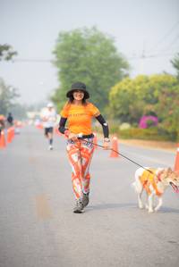 BIB: 
                            <button type="button" onclick="openModal(8870785)" class="btn btn-primary btn-sm float-right btn-popup" data-toggle="modal" data-target=".modal-high-quality">
                        <i class="fas fa-shopping-cart"></i> Add to Cart
                    </button>
                                            <button type="button" onclick="isThisMe(8870785, true)" class="btn btn-success btn-sm float-right btn-popup btn-isme hidden" data-toggle="tooltip" data-placement="bottom" title="นี่คือรูปของคุณใช่ไหม คลิกที่นี่เพื่อเอาเข้าอัลบั้ม">
                        <i class="fas fa-plus"></i> Add to album
                    </button>
                    <button type="button" onclick="isThisMe(8870785, false)" class="btn btn-warning btn-sm float-right btn-popup btn-isnotme hidden">
                        <i class="fas fa-ban"></i> Remove from album
                    </button>