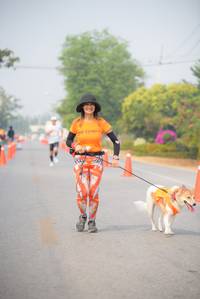 BIB: 
                            <button type="button" onclick="openModal(8870773)" class="btn btn-primary btn-sm float-right btn-popup" data-toggle="modal" data-target=".modal-high-quality">
                        <i class="fas fa-shopping-cart"></i> Add to Cart
                    </button>
                                            <button type="button" onclick="isThisMe(8870773, true)" class="btn btn-success btn-sm float-right btn-popup btn-isme hidden" data-toggle="tooltip" data-placement="bottom" title="นี่คือรูปของคุณใช่ไหม คลิกที่นี่เพื่อเอาเข้าอัลบั้ม">
                        <i class="fas fa-plus"></i> Add to album
                    </button>
                    <button type="button" onclick="isThisMe(8870773, false)" class="btn btn-warning btn-sm float-right btn-popup btn-isnotme hidden">
                        <i class="fas fa-ban"></i> Remove from album
                    </button>