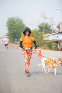 BIB: 
                            <button type="button" onclick="openModal(8870839)" class="btn btn-primary btn-sm float-right btn-popup" data-toggle="modal" data-target=".modal-high-quality">
                        <i class="fas fa-shopping-cart"></i> Add to Cart
                    </button>
                                            <button type="button" onclick="isThisMe(8870839, true)" class="btn btn-success btn-sm float-right btn-popup btn-isme hidden" data-toggle="tooltip" data-placement="bottom" title="นี่คือรูปของคุณใช่ไหม คลิกที่นี่เพื่อเอาเข้าอัลบั้ม">
                        <i class="fas fa-plus"></i> Add to album
                    </button>
                    <button type="button" onclick="isThisMe(8870839, false)" class="btn btn-warning btn-sm float-right btn-popup btn-isnotme hidden">
                        <i class="fas fa-ban"></i> Remove from album
                    </button>