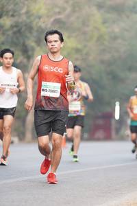 BIB: 25803
                            <button type="button" onclick="openModal(8725115)" class="btn btn-primary btn-sm float-right btn-popup" data-toggle="modal" data-target=".modal-high-quality">
                        <i class="fas fa-shopping-cart"></i> Add to Cart
                    </button>
                                            <button type="button" onclick="isThisMe(8725115, true)" class="btn btn-success btn-sm float-right btn-popup btn-isme hidden" data-toggle="tooltip" data-placement="bottom" title="นี่คือรูปของคุณใช่ไหม คลิกที่นี่เพื่อเอาเข้าอัลบั้ม">
                        <i class="fas fa-plus"></i> Add to album
                    </button>
                    <button type="button" onclick="isThisMe(8725115, false)" class="btn btn-warning btn-sm float-right btn-popup btn-isnotme hidden">
                        <i class="fas fa-ban"></i> Remove from album
                    </button>
