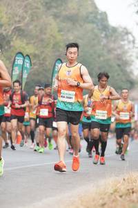 BIB: 26081
                            <button type="button" onclick="openModal(8713111)" class="btn btn-primary btn-sm float-right btn-popup" data-toggle="modal" data-target=".modal-high-quality">
                        <i class="fas fa-shopping-cart"></i> Add to Cart
                    </button>
                                            <button type="button" onclick="isThisMe(8713111, true)" class="btn btn-success btn-sm float-right btn-popup btn-isme hidden" data-toggle="tooltip" data-placement="bottom" title="นี่คือรูปของคุณใช่ไหม คลิกที่นี่เพื่อเอาเข้าอัลบั้ม">
                        <i class="fas fa-plus"></i> Add to album
                    </button>
                    <button type="button" onclick="isThisMe(8713111, false)" class="btn btn-warning btn-sm float-right btn-popup btn-isnotme hidden">
                        <i class="fas fa-ban"></i> Remove from album
                    </button>