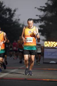 BIB: 2012, 22346, 0238
                            <button type="button" onclick="openModal(8793254)" class="btn btn-primary btn-sm float-right btn-popup" data-toggle="modal" data-target=".modal-high-quality">
                        <i class="fas fa-shopping-cart"></i> Add to Cart
                    </button>
                                            <button type="button" onclick="isThisMe(8793254, true)" class="btn btn-success btn-sm float-right btn-popup btn-isme hidden" data-toggle="tooltip" data-placement="bottom" title="นี่คือรูปของคุณใช่ไหม คลิกที่นี่เพื่อเอาเข้าอัลบั้ม">
                        <i class="fas fa-plus"></i> Add to album
                    </button>
                    <button type="button" onclick="isThisMe(8793254, false)" class="btn btn-warning btn-sm float-right btn-popup btn-isnotme hidden">
                        <i class="fas fa-ban"></i> Remove from album
                    </button>