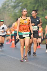 BIB: 25213, 26788
                            <button type="button" onclick="openModal(9348732)" class="btn btn-primary btn-sm float-right btn-popup" data-toggle="modal" data-target=".modal-high-quality">
                        <i class="fas fa-shopping-cart"></i> Add to Cart
                    </button>
                                            <button type="button" onclick="isThisMe(9348732, true)" class="btn btn-success btn-sm float-right btn-popup btn-isme hidden" data-toggle="tooltip" data-placement="bottom" title="นี่คือรูปของคุณใช่ไหม คลิกที่นี่เพื่อเอาเข้าอัลบั้ม">
                        <i class="fas fa-plus"></i> Add to album
                    </button>
                    <button type="button" onclick="isThisMe(9348732, false)" class="btn btn-warning btn-sm float-right btn-popup btn-isnotme hidden">
                        <i class="fas fa-ban"></i> Remove from album
                    </button>