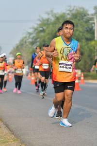 BIB: 48248
                            <button type="button" onclick="openModal(9351758)" class="btn btn-primary btn-sm float-right btn-popup" data-toggle="modal" data-target=".modal-high-quality">
                        <i class="fas fa-shopping-cart"></i> Add to Cart
                    </button>
                                            <button type="button" onclick="isThisMe(9351758, true)" class="btn btn-success btn-sm float-right btn-popup btn-isme hidden" data-toggle="tooltip" data-placement="bottom" title="นี่คือรูปของคุณใช่ไหม คลิกที่นี่เพื่อเอาเข้าอัลบั้ม">
                        <i class="fas fa-plus"></i> Add to album
                    </button>
                    <button type="button" onclick="isThisMe(9351758, false)" class="btn btn-warning btn-sm float-right btn-popup btn-isnotme hidden">
                        <i class="fas fa-ban"></i> Remove from album
                    </button>