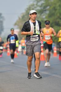 BIB: 47879
                            <button type="button" onclick="openModal(9352392)" class="btn btn-primary btn-sm float-right btn-popup" data-toggle="modal" data-target=".modal-high-quality">
                        <i class="fas fa-shopping-cart"></i> Add to Cart
                    </button>
                                            <button type="button" onclick="isThisMe(9352392, true)" class="btn btn-success btn-sm float-right btn-popup btn-isme hidden" data-toggle="tooltip" data-placement="bottom" title="นี่คือรูปของคุณใช่ไหม คลิกที่นี่เพื่อเอาเข้าอัลบั้ม">
                        <i class="fas fa-plus"></i> Add to album
                    </button>
                    <button type="button" onclick="isThisMe(9352392, false)" class="btn btn-warning btn-sm float-right btn-popup btn-isnotme hidden">
                        <i class="fas fa-ban"></i> Remove from album
                    </button>
