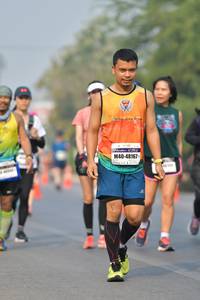 BIB: 48167
                            <button type="button" onclick="openModal(9355328)" class="btn btn-primary btn-sm float-right btn-popup" data-toggle="modal" data-target=".modal-high-quality">
                        <i class="fas fa-shopping-cart"></i> Add to Cart
                    </button>
                                            <button type="button" onclick="isThisMe(9355328, true)" class="btn btn-success btn-sm float-right btn-popup btn-isme hidden" data-toggle="tooltip" data-placement="bottom" title="นี่คือรูปของคุณใช่ไหม คลิกที่นี่เพื่อเอาเข้าอัลบั้ม">
                        <i class="fas fa-plus"></i> Add to album
                    </button>
                    <button type="button" onclick="isThisMe(9355328, false)" class="btn btn-warning btn-sm float-right btn-popup btn-isnotme hidden">
                        <i class="fas fa-ban"></i> Remove from album
                    </button>