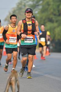 BIB: 41342, 354
                            <button type="button" onclick="openModal(9349626)" class="btn btn-primary btn-sm float-right btn-popup" data-toggle="modal" data-target=".modal-high-quality">
                        <i class="fas fa-shopping-cart"></i> Add to Cart
                    </button>
                                            <button type="button" onclick="isThisMe(9349626, true)" class="btn btn-success btn-sm float-right btn-popup btn-isme hidden" data-toggle="tooltip" data-placement="bottom" title="นี่คือรูปของคุณใช่ไหม คลิกที่นี่เพื่อเอาเข้าอัลบั้ม">
                        <i class="fas fa-plus"></i> Add to album
                    </button>
                    <button type="button" onclick="isThisMe(9349626, false)" class="btn btn-warning btn-sm float-right btn-popup btn-isnotme hidden">
                        <i class="fas fa-ban"></i> Remove from album
                    </button>