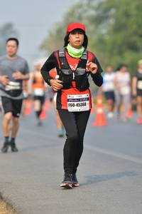 BIB: 45368
                            <button type="button" onclick="openModal(9355984)" class="btn btn-primary btn-sm float-right btn-popup" data-toggle="modal" data-target=".modal-high-quality">
                        <i class="fas fa-shopping-cart"></i> Add to Cart
                    </button>
                                            <button type="button" onclick="isThisMe(9355984, true)" class="btn btn-success btn-sm float-right btn-popup btn-isme hidden" data-toggle="tooltip" data-placement="bottom" title="นี่คือรูปของคุณใช่ไหม คลิกที่นี่เพื่อเอาเข้าอัลบั้ม">
                        <i class="fas fa-plus"></i> Add to album
                    </button>
                    <button type="button" onclick="isThisMe(9355984, false)" class="btn btn-warning btn-sm float-right btn-popup btn-isnotme hidden">
                        <i class="fas fa-ban"></i> Remove from album
                    </button>