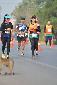 BIB: 4812, 40314
                            <button type="button" onclick="openModal(9349632)" class="btn btn-primary btn-sm float-right btn-popup" data-toggle="modal" data-target=".modal-high-quality">
                        <i class="fas fa-shopping-cart"></i> Add to Cart
                    </button>
                                            <button type="button" onclick="isThisMe(9349632, true)" class="btn btn-success btn-sm float-right btn-popup btn-isme hidden" data-toggle="tooltip" data-placement="bottom" title="นี่คือรูปของคุณใช่ไหม คลิกที่นี่เพื่อเอาเข้าอัลบั้ม">
                        <i class="fas fa-plus"></i> Add to album
                    </button>
                    <button type="button" onclick="isThisMe(9349632, false)" class="btn btn-warning btn-sm float-right btn-popup btn-isnotme hidden">
                        <i class="fas fa-ban"></i> Remove from album
                    </button>