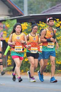 BIB: 10583, 11216, 10092
                            <button type="button" onclick="openModal(9461178)" class="btn btn-primary btn-sm float-right btn-popup" data-toggle="modal" data-target=".modal-high-quality">
                        <i class="fas fa-shopping-cart"></i> Add to Cart
                    </button>
                                            <button type="button" onclick="isThisMe(9461178, true)" class="btn btn-success btn-sm float-right btn-popup btn-isme hidden" data-toggle="tooltip" data-placement="bottom" title="นี่คือรูปของคุณใช่ไหม คลิกที่นี่เพื่อเอาเข้าอัลบั้ม">
                        <i class="fas fa-plus"></i> Add to album
                    </button>
                    <button type="button" onclick="isThisMe(9461178, false)" class="btn btn-warning btn-sm float-right btn-popup btn-isnotme hidden">
                        <i class="fas fa-ban"></i> Remove from album
                    </button>