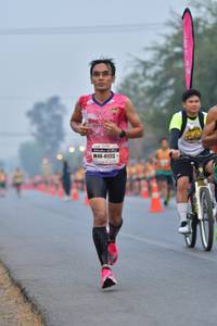 BIB: 41173
                            <button type="button" onclick="openModal(9460279)" class="btn btn-primary btn-sm float-right btn-popup" data-toggle="modal" data-target=".modal-high-quality">
                        <i class="fas fa-shopping-cart"></i> Add to Cart
                    </button>
                                            <button type="button" onclick="isThisMe(9460279, true)" class="btn btn-success btn-sm float-right btn-popup btn-isme hidden" data-toggle="tooltip" data-placement="bottom" title="นี่คือรูปของคุณใช่ไหม คลิกที่นี่เพื่อเอาเข้าอัลบั้ม">
                        <i class="fas fa-plus"></i> Add to album
                    </button>
                    <button type="button" onclick="isThisMe(9460279, false)" class="btn btn-warning btn-sm float-right btn-popup btn-isnotme hidden">
                        <i class="fas fa-ban"></i> Remove from album
                    </button>