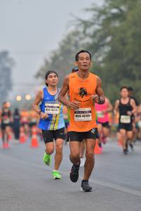 BIB: 48160
                            <button type="button" onclick="openModal(9462684)" class="btn btn-primary btn-sm float-right btn-popup" data-toggle="modal" data-target=".modal-high-quality">
                        <i class="fas fa-shopping-cart"></i> Add to Cart
                    </button>
                                            <button type="button" onclick="isThisMe(9462684, true)" class="btn btn-success btn-sm float-right btn-popup btn-isme hidden" data-toggle="tooltip" data-placement="bottom" title="นี่คือรูปของคุณใช่ไหม คลิกที่นี่เพื่อเอาเข้าอัลบั้ม">
                        <i class="fas fa-plus"></i> Add to album
                    </button>
                    <button type="button" onclick="isThisMe(9462684, false)" class="btn btn-warning btn-sm float-right btn-popup btn-isnotme hidden">
                        <i class="fas fa-ban"></i> Remove from album
                    </button>