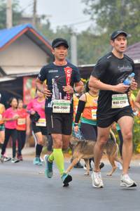 BIB: 2214, 21551
                            <button type="button" onclick="openModal(9412028)" class="btn btn-primary btn-sm float-right btn-popup" data-toggle="modal" data-target=".modal-high-quality">
                        <i class="fas fa-shopping-cart"></i> Add to Cart
                    </button>
                                            <button type="button" onclick="isThisMe(9412028, true)" class="btn btn-success btn-sm float-right btn-popup btn-isme hidden" data-toggle="tooltip" data-placement="bottom" title="นี่คือรูปของคุณใช่ไหม คลิกที่นี่เพื่อเอาเข้าอัลบั้ม">
                        <i class="fas fa-plus"></i> Add to album
                    </button>
                    <button type="button" onclick="isThisMe(9412028, false)" class="btn btn-warning btn-sm float-right btn-popup btn-isnotme hidden">
                        <i class="fas fa-ban"></i> Remove from album
                    </button>