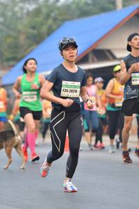 BIB: 20318
                            <button type="button" onclick="openModal(9412272)" class="btn btn-primary btn-sm float-right btn-popup" data-toggle="modal" data-target=".modal-high-quality">
                        <i class="fas fa-shopping-cart"></i> Add to Cart
                    </button>
                                            <button type="button" onclick="isThisMe(9412272, true)" class="btn btn-success btn-sm float-right btn-popup btn-isme hidden" data-toggle="tooltip" data-placement="bottom" title="นี่คือรูปของคุณใช่ไหม คลิกที่นี่เพื่อเอาเข้าอัลบั้ม">
                        <i class="fas fa-plus"></i> Add to album
                    </button>
                    <button type="button" onclick="isThisMe(9412272, false)" class="btn btn-warning btn-sm float-right btn-popup btn-isnotme hidden">
                        <i class="fas fa-ban"></i> Remove from album
                    </button>