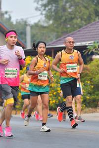 BIB: 20901, 25786, 25345
                            <button type="button" onclick="openModal(9413809)" class="btn btn-primary btn-sm float-right btn-popup" data-toggle="modal" data-target=".modal-high-quality">
                        <i class="fas fa-shopping-cart"></i> Add to Cart
                    </button>
                                            <button type="button" onclick="isThisMe(9413809, true)" class="btn btn-success btn-sm float-right btn-popup btn-isme hidden" data-toggle="tooltip" data-placement="bottom" title="นี่คือรูปของคุณใช่ไหม คลิกที่นี่เพื่อเอาเข้าอัลบั้ม">
                        <i class="fas fa-plus"></i> Add to album
                    </button>
                    <button type="button" onclick="isThisMe(9413809, false)" class="btn btn-warning btn-sm float-right btn-popup btn-isnotme hidden">
                        <i class="fas fa-ban"></i> Remove from album
                    </button>