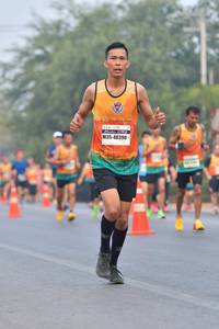 BIB: 48390
                            <button type="button" onclick="openModal(9420293)" class="btn btn-primary btn-sm float-right btn-popup" data-toggle="modal" data-target=".modal-high-quality">
                        <i class="fas fa-shopping-cart"></i> Add to Cart
                    </button>
                                            <button type="button" onclick="isThisMe(9420293, true)" class="btn btn-success btn-sm float-right btn-popup btn-isme hidden" data-toggle="tooltip" data-placement="bottom" title="นี่คือรูปของคุณใช่ไหม คลิกที่นี่เพื่อเอาเข้าอัลบั้ม">
                        <i class="fas fa-plus"></i> Add to album
                    </button>
                    <button type="button" onclick="isThisMe(9420293, false)" class="btn btn-warning btn-sm float-right btn-popup btn-isnotme hidden">
                        <i class="fas fa-ban"></i> Remove from album
                    </button>