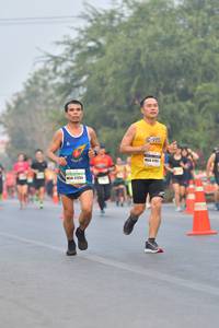 BIB: 27255
                            <button type="button" onclick="openModal(9419138)" class="btn btn-primary btn-sm float-right btn-popup" data-toggle="modal" data-target=".modal-high-quality">
                        <i class="fas fa-shopping-cart"></i> Add to Cart
                    </button>
                                            <button type="button" onclick="isThisMe(9419138, true)" class="btn btn-success btn-sm float-right btn-popup btn-isme hidden" data-toggle="tooltip" data-placement="bottom" title="นี่คือรูปของคุณใช่ไหม คลิกที่นี่เพื่อเอาเข้าอัลบั้ม">
                        <i class="fas fa-plus"></i> Add to album
                    </button>
                    <button type="button" onclick="isThisMe(9419138, false)" class="btn btn-warning btn-sm float-right btn-popup btn-isnotme hidden">
                        <i class="fas fa-ban"></i> Remove from album
                    </button>