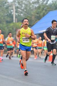 BIB: 48081
                            <button type="button" onclick="openModal(9413040)" class="btn btn-primary btn-sm float-right btn-popup" data-toggle="modal" data-target=".modal-high-quality">
                        <i class="fas fa-shopping-cart"></i> Add to Cart
                    </button>
                                            <button type="button" onclick="isThisMe(9413040, true)" class="btn btn-success btn-sm float-right btn-popup btn-isme hidden" data-toggle="tooltip" data-placement="bottom" title="นี่คือรูปของคุณใช่ไหม คลิกที่นี่เพื่อเอาเข้าอัลบั้ม">
                        <i class="fas fa-plus"></i> Add to album
                    </button>
                    <button type="button" onclick="isThisMe(9413040, false)" class="btn btn-warning btn-sm float-right btn-popup btn-isnotme hidden">
                        <i class="fas fa-ban"></i> Remove from album
                    </button>