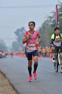 BIB: 41173
                            <button type="button" onclick="openModal(9211836)" class="btn btn-primary btn-sm float-right btn-popup" data-toggle="modal" data-target=".modal-high-quality">
                        <i class="fas fa-shopping-cart"></i> Add to Cart
                    </button>
                                            <button type="button" onclick="isThisMe(9211836, true)" class="btn btn-success btn-sm float-right btn-popup btn-isme hidden" data-toggle="tooltip" data-placement="bottom" title="นี่คือรูปของคุณใช่ไหม คลิกที่นี่เพื่อเอาเข้าอัลบั้ม">
                        <i class="fas fa-plus"></i> Add to album
                    </button>
                    <button type="button" onclick="isThisMe(9211836, false)" class="btn btn-warning btn-sm float-right btn-popup btn-isnotme hidden">
                        <i class="fas fa-ban"></i> Remove from album
                    </button>