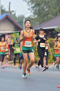 BIB: 25234
                            <button type="button" onclick="openModal(9213047)" class="btn btn-primary btn-sm float-right btn-popup" data-toggle="modal" data-target=".modal-high-quality">
                        <i class="fas fa-shopping-cart"></i> Add to Cart
                    </button>
                                            <button type="button" onclick="isThisMe(9213047, true)" class="btn btn-success btn-sm float-right btn-popup btn-isme hidden" data-toggle="tooltip" data-placement="bottom" title="นี่คือรูปของคุณใช่ไหม คลิกที่นี่เพื่อเอาเข้าอัลบั้ม">
                        <i class="fas fa-plus"></i> Add to album
                    </button>
                    <button type="button" onclick="isThisMe(9213047, false)" class="btn btn-warning btn-sm float-right btn-popup btn-isnotme hidden">
                        <i class="fas fa-ban"></i> Remove from album
                    </button>
