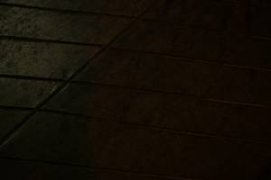 BIB: 
                            <button type="button" onclick="openModal(9478386)" class="btn btn-primary btn-sm float-right btn-popup" data-toggle="modal" data-target=".modal-high-quality">
                        <i class="fas fa-shopping-cart"></i> Add to Cart
                    </button>
                                            <button type="button" onclick="isThisMe(9478386, true)" class="btn btn-success btn-sm float-right btn-popup btn-isme hidden" data-toggle="tooltip" data-placement="bottom" title="นี่คือรูปของคุณใช่ไหม คลิกที่นี่เพื่อเอาเข้าอัลบั้ม">
                        <i class="fas fa-plus"></i> Add to album
                    </button>
                    <button type="button" onclick="isThisMe(9478386, false)" class="btn btn-warning btn-sm float-right btn-popup btn-isnotme hidden">
                        <i class="fas fa-ban"></i> Remove from album
                    </button>