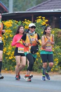 BIB: 11231, 11055, , 
                            <button type="button" onclick="openModal(7432448)" class="btn btn-primary btn-sm float-right btn-popup" data-toggle="modal" data-target=".modal-high-quality">
                        <i class="fas fa-shopping-cart"></i> Add to Cart
                    </button>
                                            <button type="button" onclick="isThisMe(7432448, true)" class="btn btn-success btn-sm float-right btn-popup btn-isme hidden" data-toggle="tooltip" data-placement="bottom" title="นี่คือรูปของคุณใช่ไหม คลิกที่นี่เพื่อเอาเข้าอัลบั้ม">
                        <i class="fas fa-plus"></i> Add to album
                    </button>
                    <button type="button" onclick="isThisMe(7432448, false)" class="btn btn-warning btn-sm float-right btn-popup btn-isnotme hidden">
                        <i class="fas fa-ban"></i> Remove from album
                    </button>