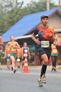 BIB: 82004
                            <button type="button" onclick="openModal(9221241)" class="btn btn-primary btn-sm float-right btn-popup" data-toggle="modal" data-target=".modal-high-quality">
                        <i class="fas fa-shopping-cart"></i> Add to Cart
                    </button>
                                            <button type="button" onclick="isThisMe(9221241, true)" class="btn btn-success btn-sm float-right btn-popup btn-isme hidden" data-toggle="tooltip" data-placement="bottom" title="นี่คือรูปของคุณใช่ไหม คลิกที่นี่เพื่อเอาเข้าอัลบั้ม">
                        <i class="fas fa-plus"></i> Add to album
                    </button>
                    <button type="button" onclick="isThisMe(9221241, false)" class="btn btn-warning btn-sm float-right btn-popup btn-isnotme hidden">
                        <i class="fas fa-ban"></i> Remove from album
                    </button>