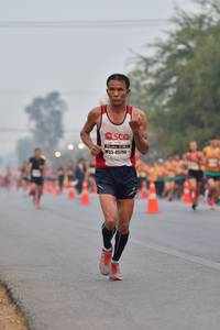 BIB: 45796
                            <button type="button" onclick="openModal(8663088)" class="btn btn-primary btn-sm float-right btn-popup" data-toggle="modal" data-target=".modal-high-quality">
                        <i class="fas fa-shopping-cart"></i> Add to Cart
                    </button>
                                            <button type="button" onclick="isThisMe(8663088, true)" class="btn btn-success btn-sm float-right btn-popup btn-isme hidden" data-toggle="tooltip" data-placement="bottom" title="นี่คือรูปของคุณใช่ไหม คลิกที่นี่เพื่อเอาเข้าอัลบั้ม">
                        <i class="fas fa-plus"></i> Add to album
                    </button>
                    <button type="button" onclick="isThisMe(8663088, false)" class="btn btn-warning btn-sm float-right btn-popup btn-isnotme hidden">
                        <i class="fas fa-ban"></i> Remove from album
                    </button>