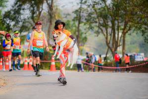 BIB: 
                            <button type="button" onclick="openModal(9719791)" class="btn btn-primary btn-sm float-right btn-popup" data-toggle="modal" data-target=".modal-high-quality">
                        <i class="fas fa-shopping-cart"></i> Add to Cart
                    </button>
                                            <button type="button" onclick="isThisMe(9719791, true)" class="btn btn-success btn-sm float-right btn-popup btn-isme hidden" data-toggle="tooltip" data-placement="bottom" title="นี่คือรูปของคุณใช่ไหม คลิกที่นี่เพื่อเอาเข้าอัลบั้ม">
                        <i class="fas fa-plus"></i> Add to album
                    </button>
                    <button type="button" onclick="isThisMe(9719791, false)" class="btn btn-warning btn-sm float-right btn-popup btn-isnotme hidden">
                        <i class="fas fa-ban"></i> Remove from album
                    </button>