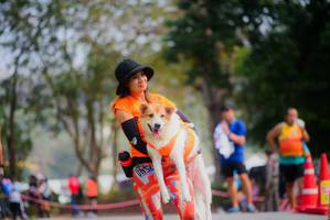 BIB: 
                            <button type="button" onclick="openModal(9719795)" class="btn btn-primary btn-sm float-right btn-popup" data-toggle="modal" data-target=".modal-high-quality">
                        <i class="fas fa-shopping-cart"></i> Add to Cart
                    </button>
                                            <button type="button" onclick="isThisMe(9719795, true)" class="btn btn-success btn-sm float-right btn-popup btn-isme hidden" data-toggle="tooltip" data-placement="bottom" title="นี่คือรูปของคุณใช่ไหม คลิกที่นี่เพื่อเอาเข้าอัลบั้ม">
                        <i class="fas fa-plus"></i> Add to album
                    </button>
                    <button type="button" onclick="isThisMe(9719795, false)" class="btn btn-warning btn-sm float-right btn-popup btn-isnotme hidden">
                        <i class="fas fa-ban"></i> Remove from album
                    </button>