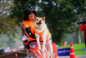 BIB: 
                            <button type="button" onclick="openModal(9719798)" class="btn btn-primary btn-sm float-right btn-popup" data-toggle="modal" data-target=".modal-high-quality">
                        <i class="fas fa-shopping-cart"></i> Add to Cart
                    </button>
                                            <button type="button" onclick="isThisMe(9719798, true)" class="btn btn-success btn-sm float-right btn-popup btn-isme hidden" data-toggle="tooltip" data-placement="bottom" title="นี่คือรูปของคุณใช่ไหม คลิกที่นี่เพื่อเอาเข้าอัลบั้ม">
                        <i class="fas fa-plus"></i> Add to album
                    </button>
                    <button type="button" onclick="isThisMe(9719798, false)" class="btn btn-warning btn-sm float-right btn-popup btn-isnotme hidden">
                        <i class="fas fa-ban"></i> Remove from album
                    </button>